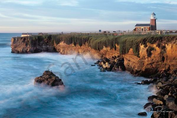 Morning Splendor Art | Tony Pagliaro Gallery