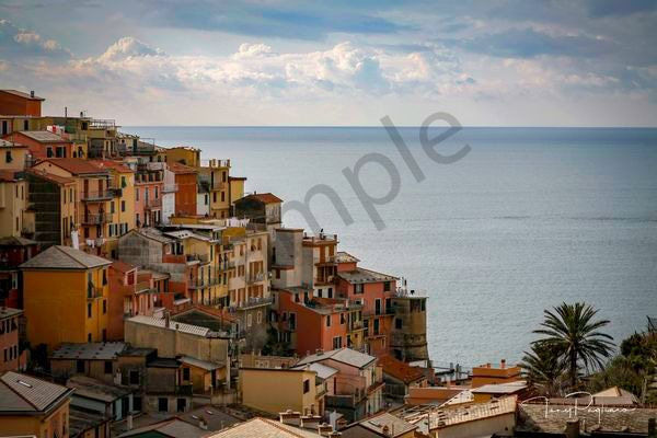 Cinque Terre Art | Tony Pagliaro Gallery