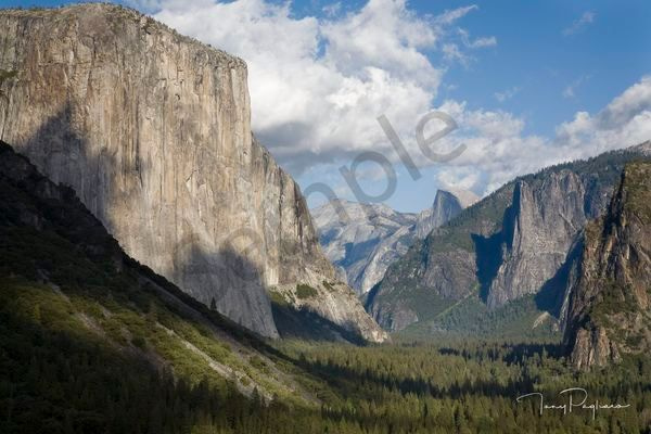 Tunnel View Art | Tony Pagliaro Gallery