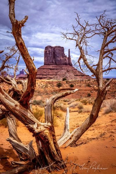 Tony Pagliaro Gallery - Monument Valley