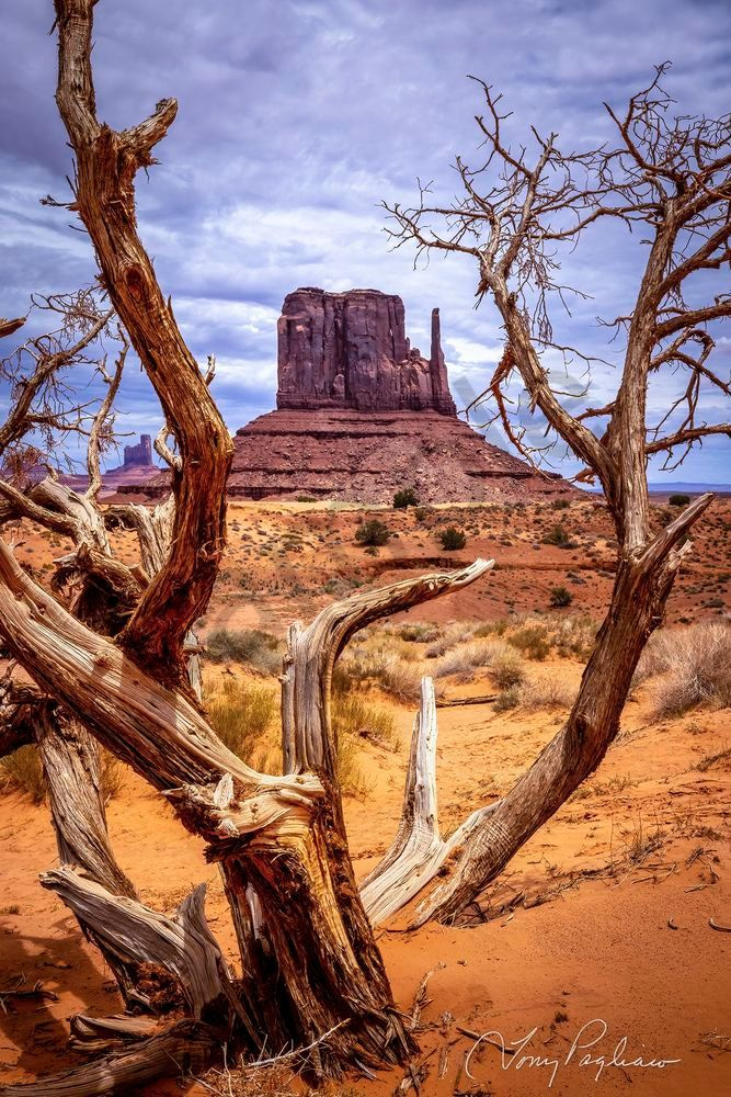 Tony Pagliaro Gallery - Monument Valley