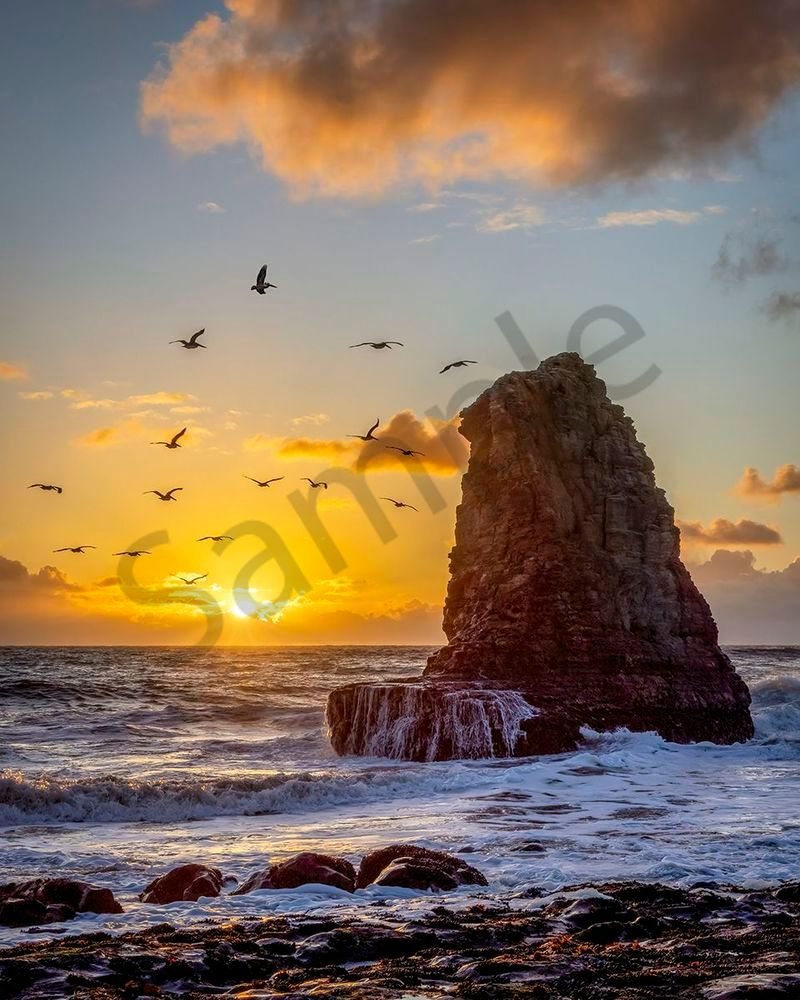 Wings Of Light Art | Tony Pagliaro Gallery