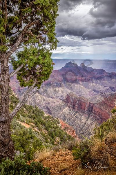 Tony Pagliaro Gallery - Grand Canyon