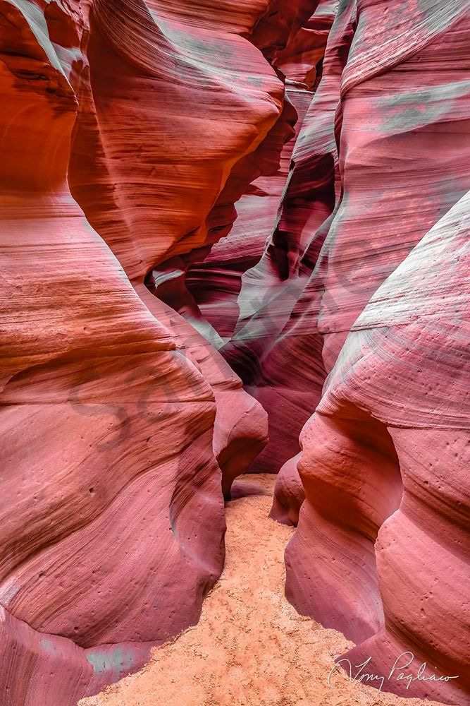 Tony Pagliaro Gallery - Antelope Canyon 
