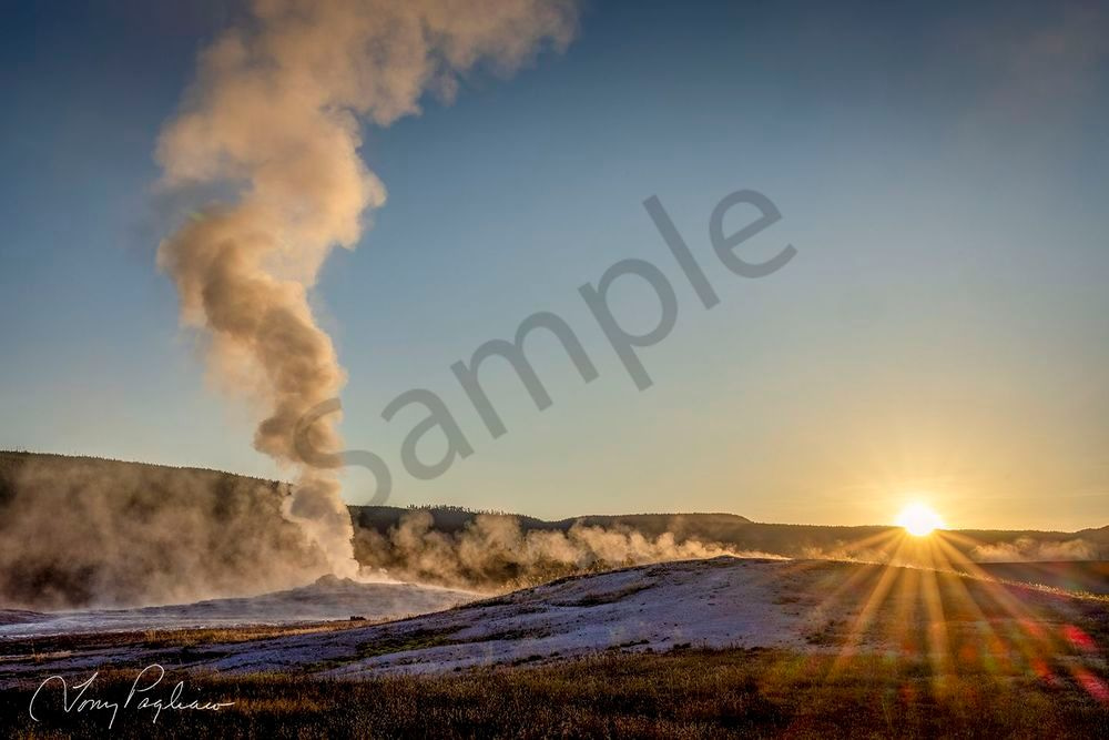Old Faithful At Sunrise Art | Tony Pagliaro Gallery