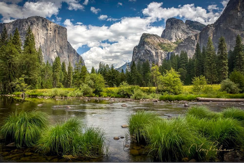 Eden   Yosemite, Ca Art | Tony Pagliaro Gallery