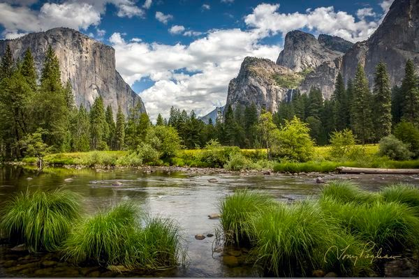 Eden   Yosemite, Ca Art | Tony Pagliaro Gallery