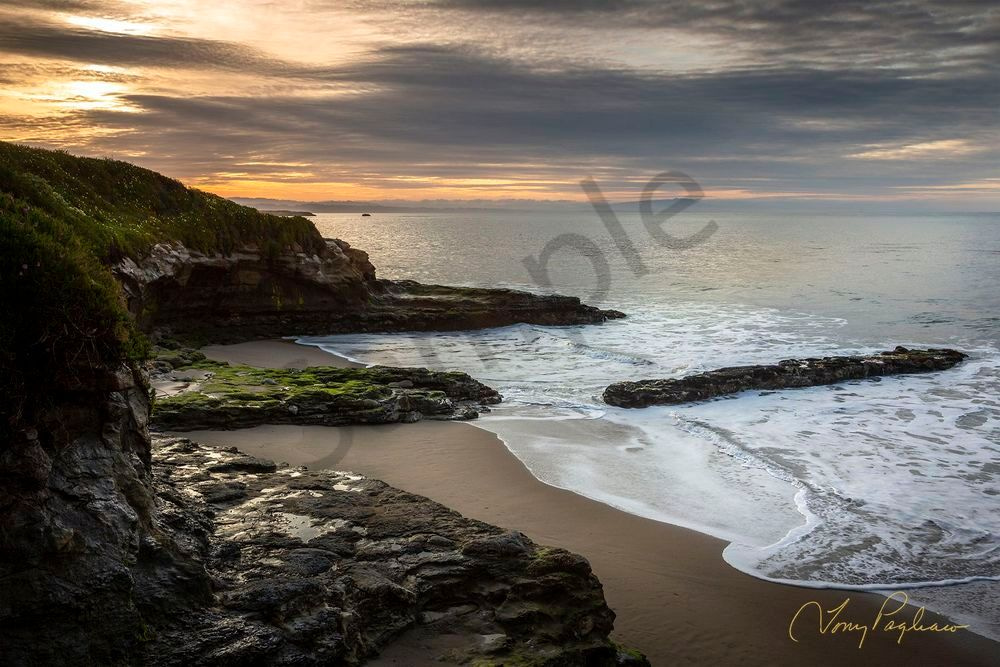 Mitchells Cove   Santa Cruz, Ca Art | Tony Pagliaro Gallery