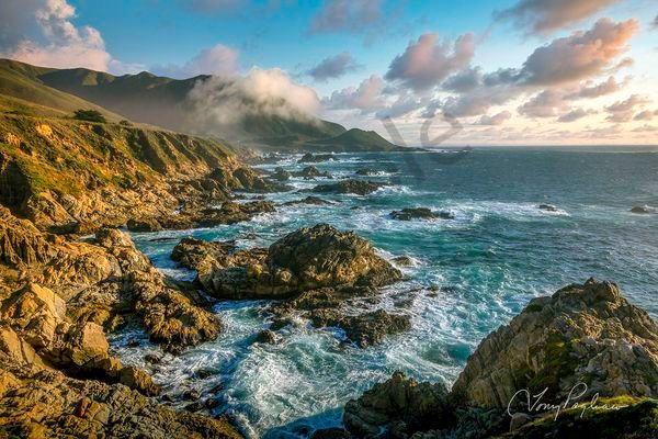 Rugged Elegance Art | Tony Pagliaro Gallery