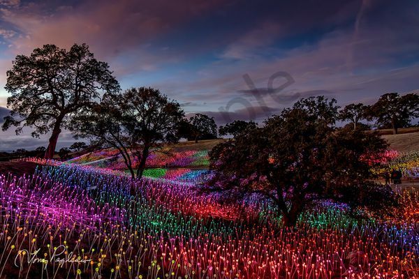 New Image photographs for sale as fine art by Tony Pagliaro