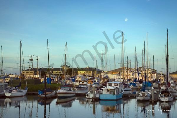 Master Moss Landing Harbour Mc Master Copy 2 Art | Tony Pagliaro Gallery