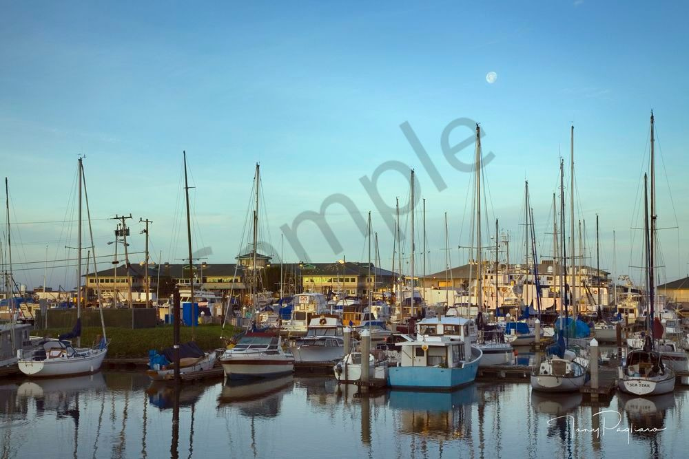 Master Moss Landing Harbour Mc Master Copy 2 Art | Tony Pagliaro Gallery
