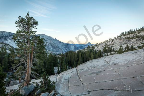 Olmsted Point Photograph for sale as fine art by Tony Pagliaro