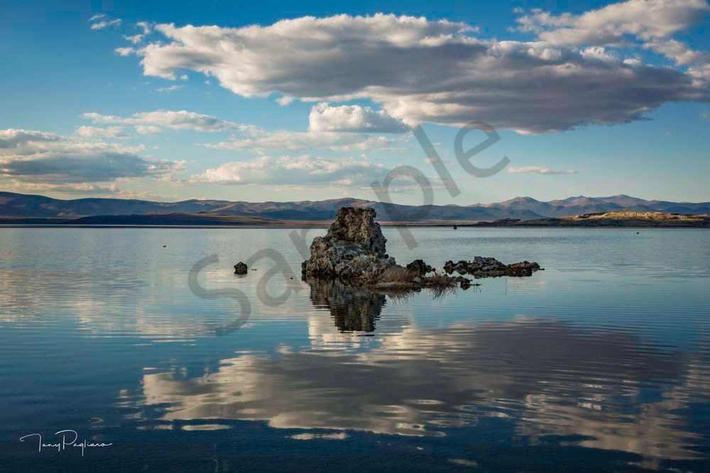 Mono Lake Reflection 1 Art | Tony Pagliaro Gallery