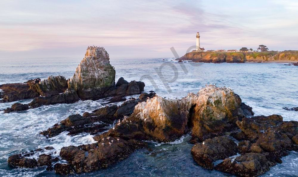 Reef And Pigeon Point Lighthouse Art | Tony Pagliaro Gallery