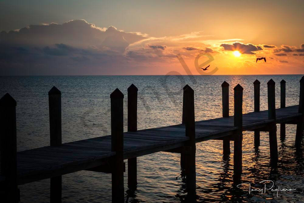 Sunrise At Islamorada   Florida Keys Art | Tony Pagliaro Gallery