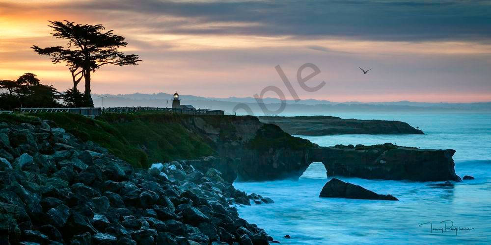 Soul Of Santa Cruz Art | Tony Pagliaro Gallery