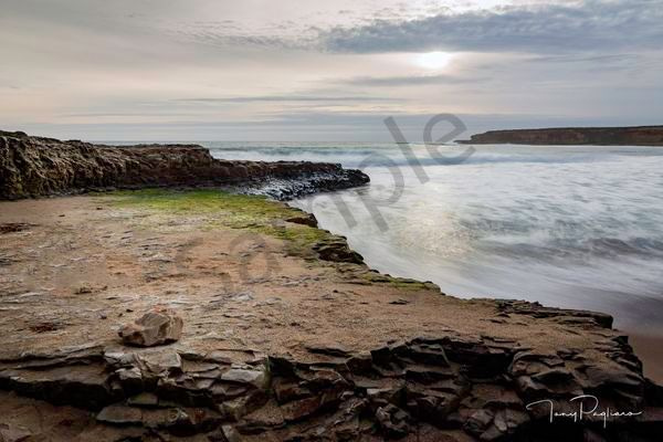 Quiescence Art | Tony Pagliaro Gallery