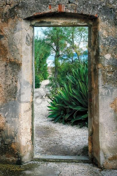 Passage Art | Tony Pagliaro Gallery
