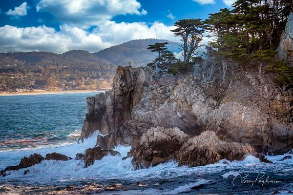 Big Dome   Point Lobos, Ca Art | Tony Pagliaro Gallery