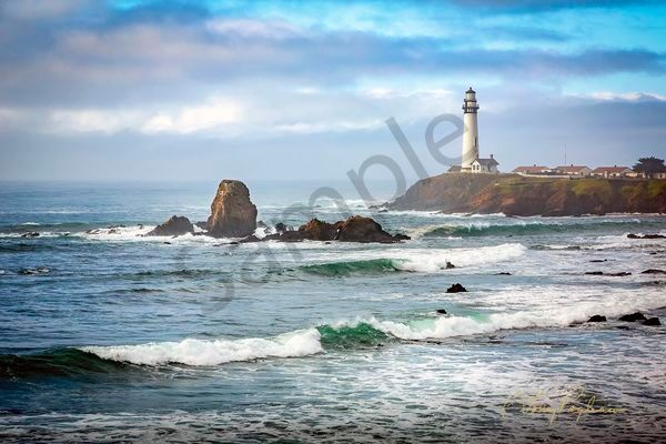 Morning Glory Art | Tony Pagliaro Gallery