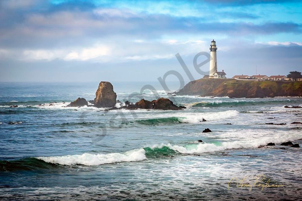 Morning Glory Art | Tony Pagliaro Gallery