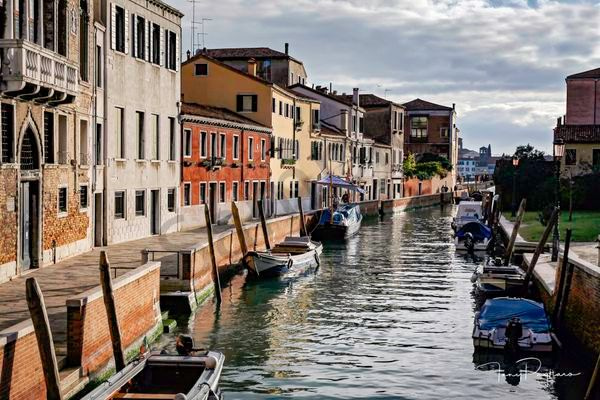 Venice Rios Art | Tony Pagliaro Gallery
