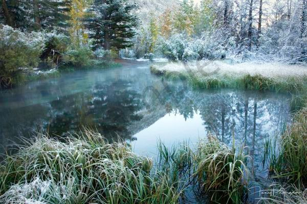 Winter Magic Art | Tony Pagliaro Gallery