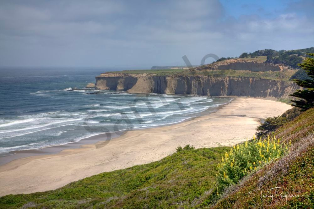 Tunitas Creek Beach Art | Tony Pagliaro Gallery