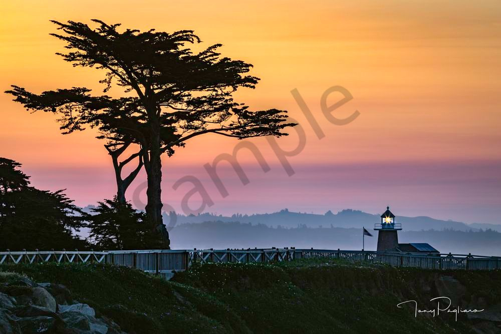 Tranquility Art | Tony Pagliaro Gallery