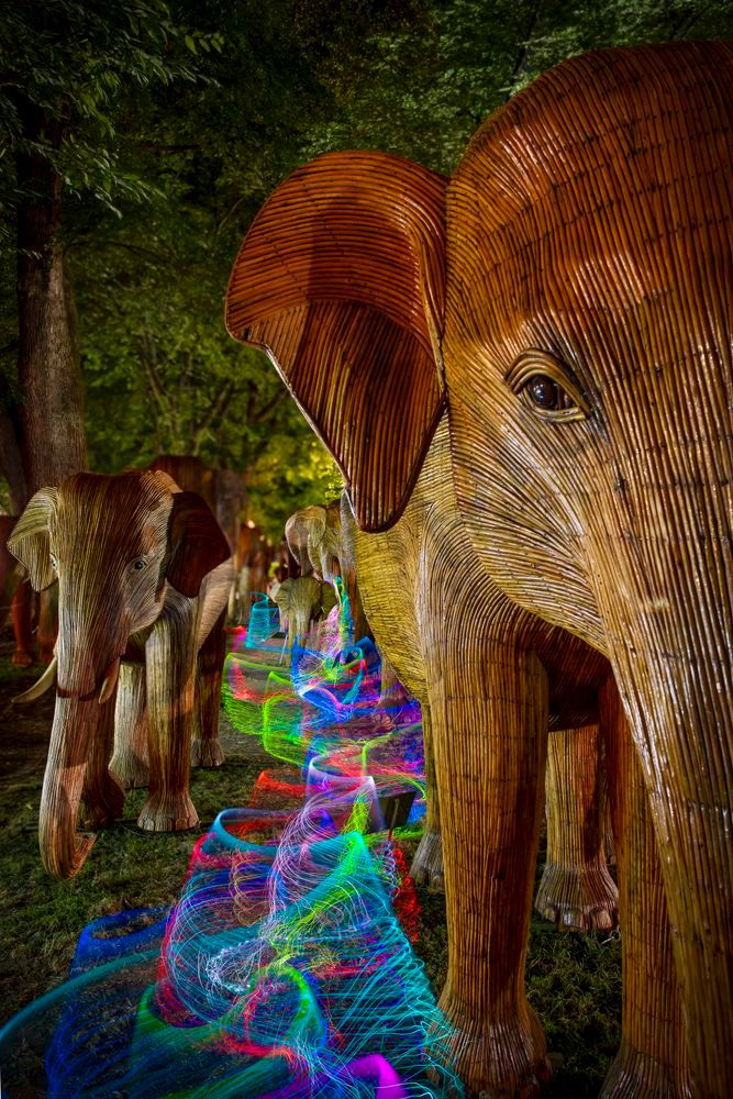 Chromatic River Pathway by Imaginoor Photography