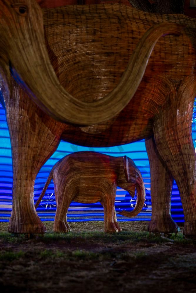 Quantum Shelter by Imaginoor Photography