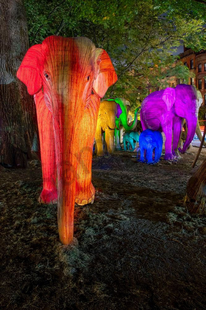 Chromatic Migration by Imaginoor Photography