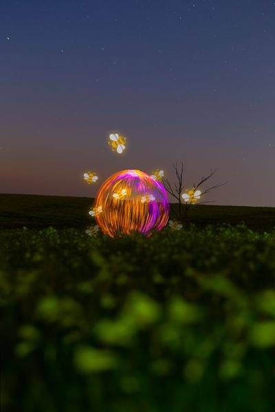 Honey Pot by Imaginoor Photography