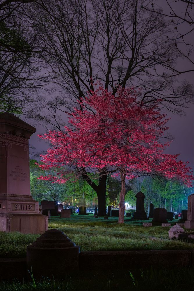 REINCARNATE by Imaginoor Photography