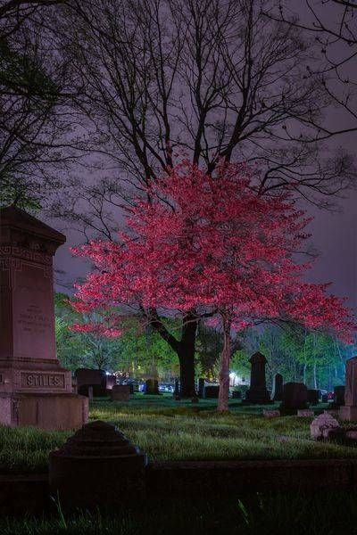 REINCARNATE by Imaginoor Photography