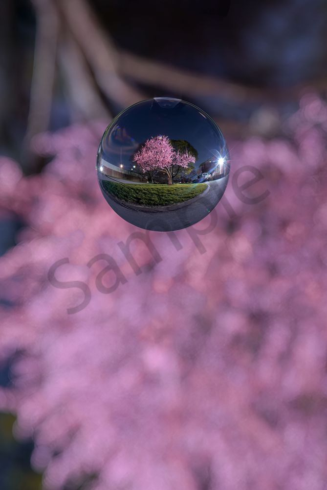 DEW DROP by Imaginoor Photography