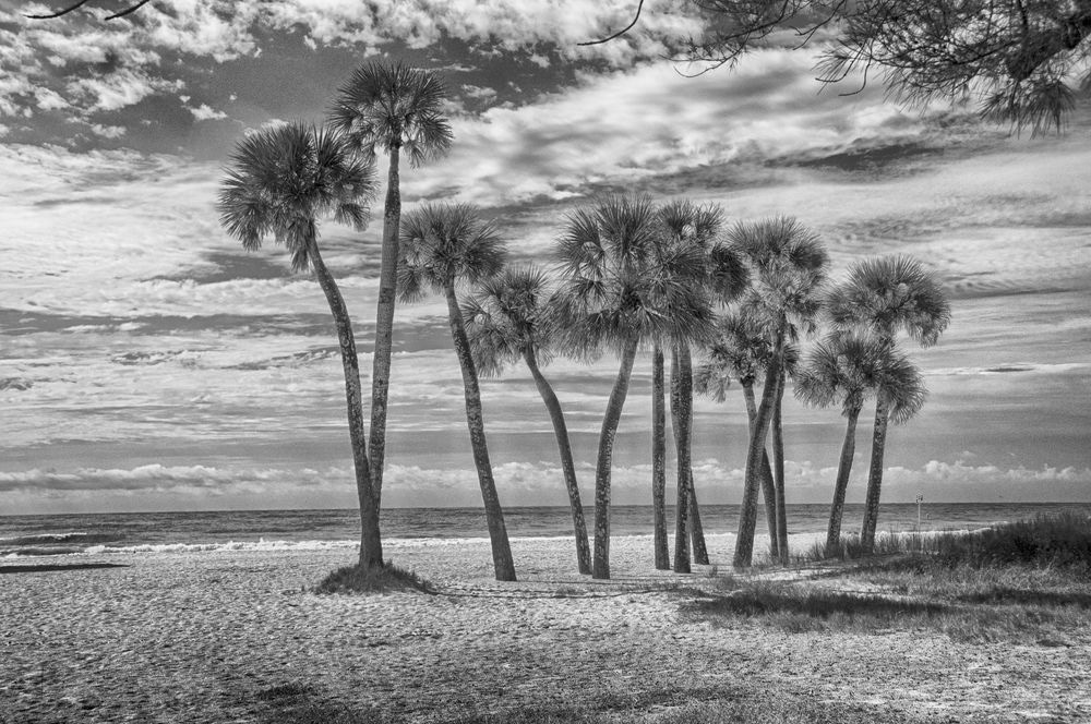 Anna Maria Peace Photography Art | Photographer David Wilson, LLC