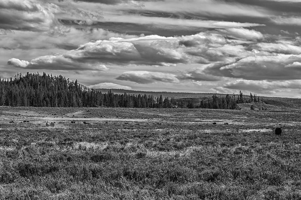 Struggle In The Dust Photography Art | Photographer David Wilson, LLC