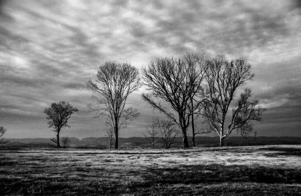 Windswept Photography Art | Photographer David Wilson, LLC