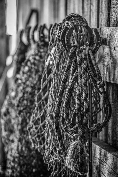Tack Line Photography Art | Photographer David Wilson, LLC