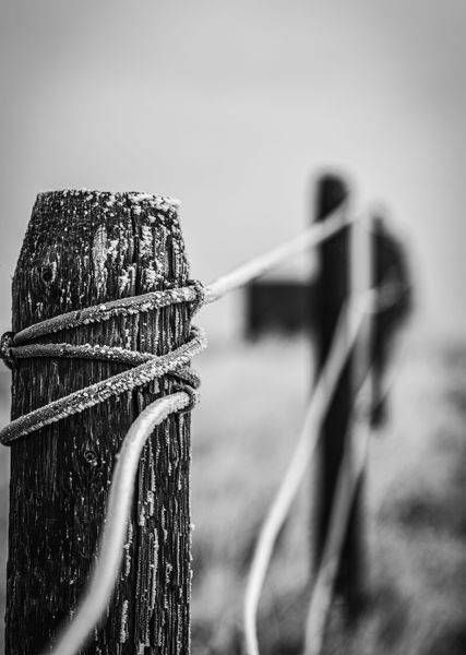 Old Davissa Fence Photography Art | Photographer David Wilson, LLC
