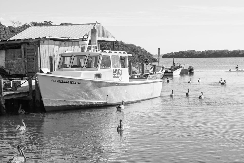 The Amanda Jean Photography Art | Photographer David Wilson, LLC