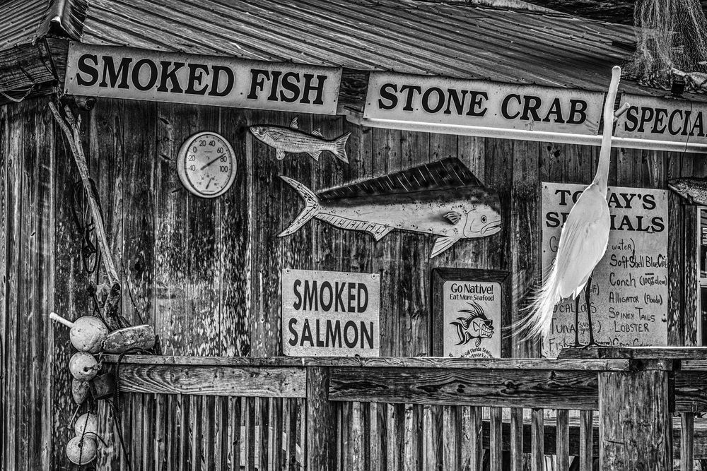 Reading The Menu Photography Art | Photographer David Wilson, LLC