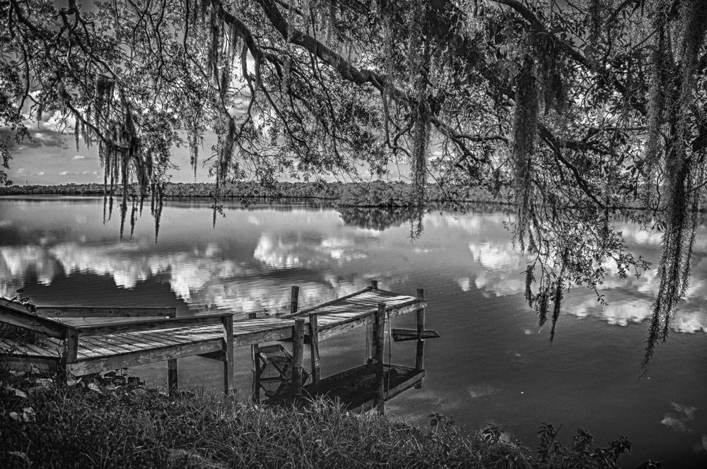 My Backyard Years Ago Photography Art | Photographer David Wilson, LLC