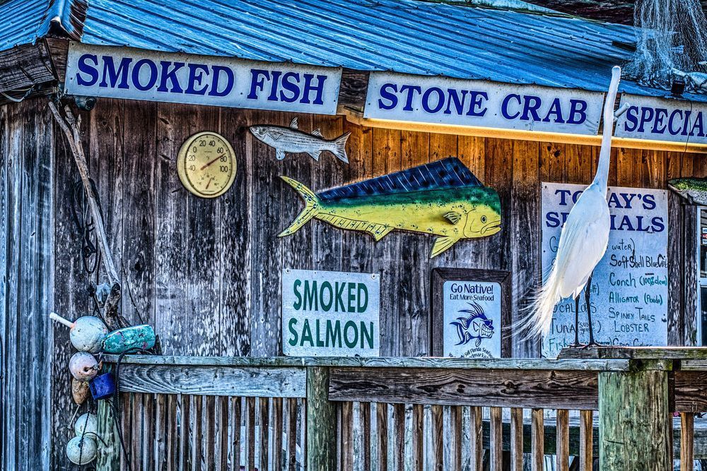 Cortez Fish Market Photography Art | Photographer David Wilson, LLC