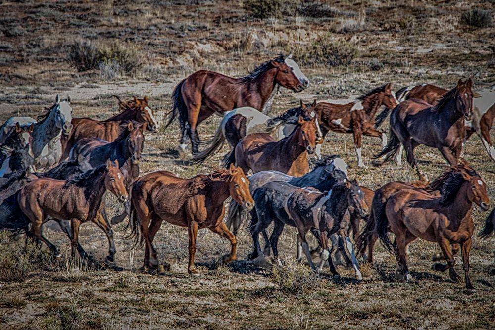 Going South Photography Art | Photographer David Wilson, LLC