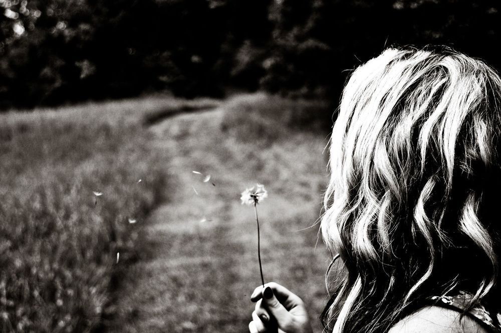 Make A Wish Photography Art | Photographer David Wilson, LLC