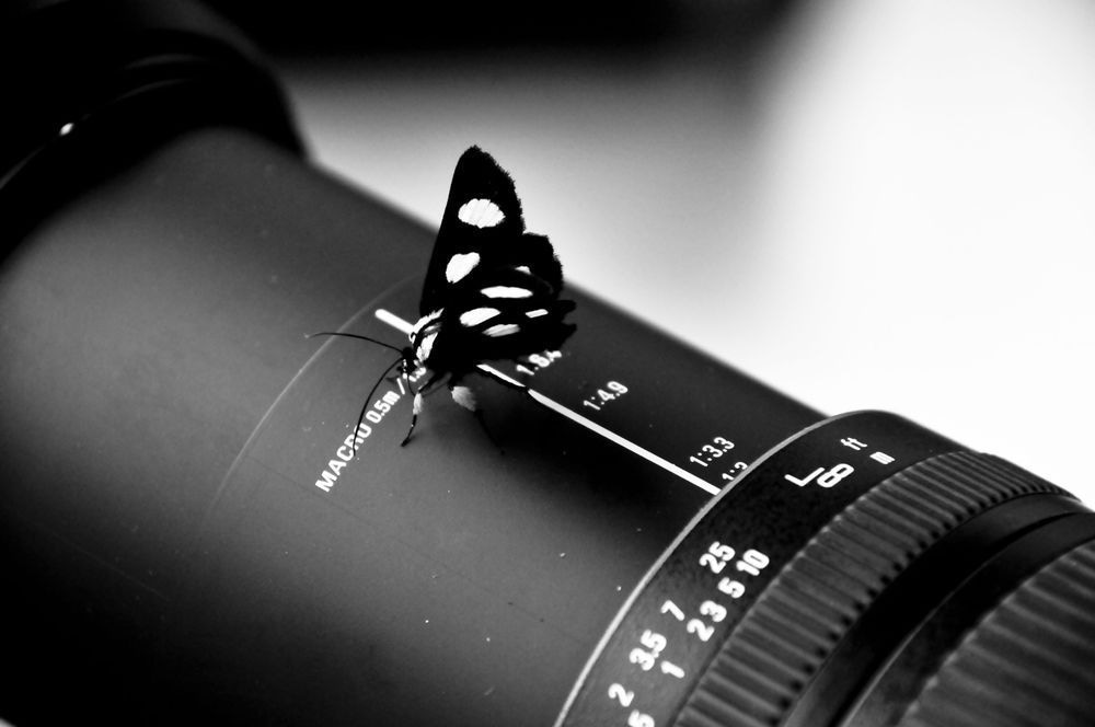 The Observer Observed Photography Art | Photographer David Wilson, LLC