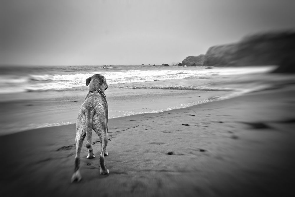Carlat Beach 202 Edit Edit Edit.Jpg Photography Art | David Plant Photography